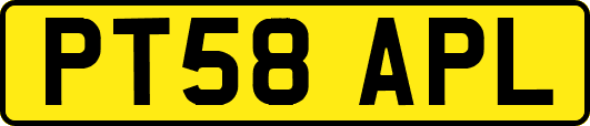 PT58APL