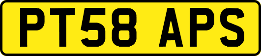 PT58APS