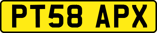 PT58APX