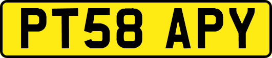 PT58APY
