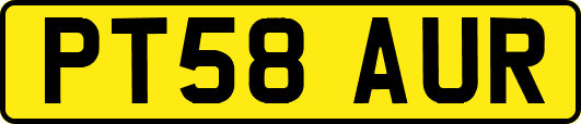 PT58AUR