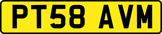 PT58AVM