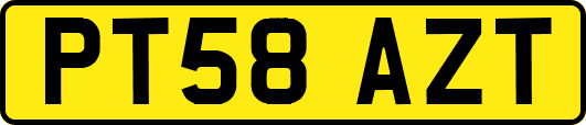 PT58AZT