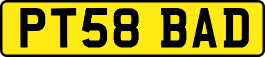 PT58BAD