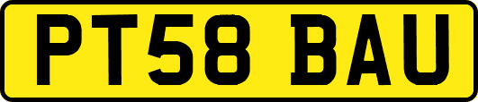 PT58BAU