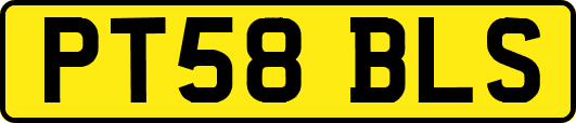PT58BLS