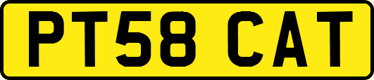 PT58CAT