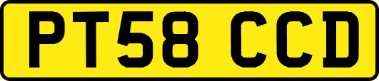 PT58CCD