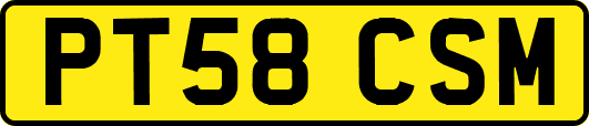 PT58CSM