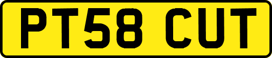 PT58CUT