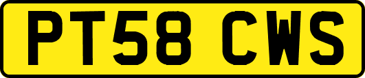 PT58CWS