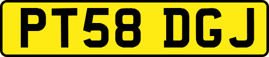 PT58DGJ