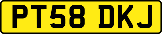 PT58DKJ