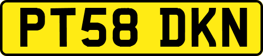 PT58DKN