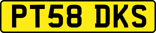 PT58DKS