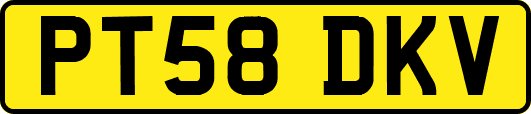 PT58DKV