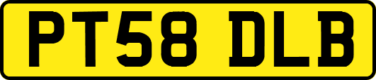 PT58DLB
