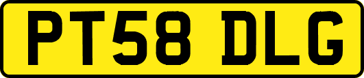 PT58DLG
