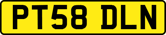 PT58DLN