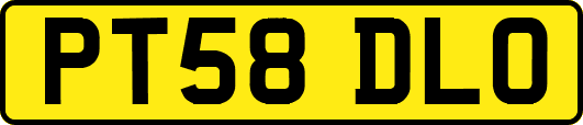 PT58DLO