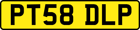 PT58DLP