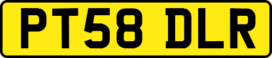 PT58DLR