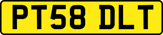 PT58DLT