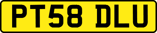 PT58DLU