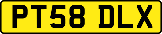 PT58DLX