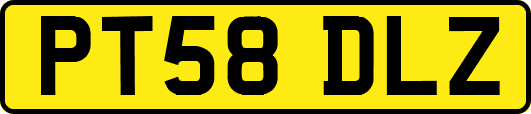 PT58DLZ