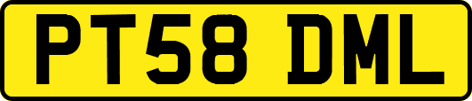 PT58DML
