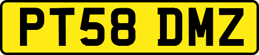 PT58DMZ