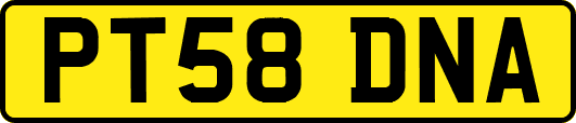 PT58DNA