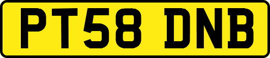 PT58DNB