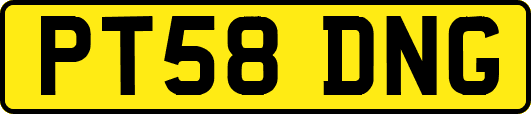 PT58DNG