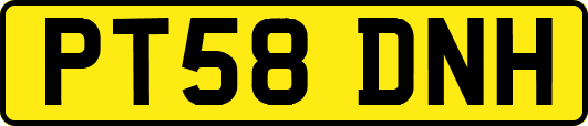 PT58DNH