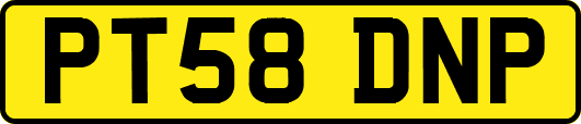 PT58DNP