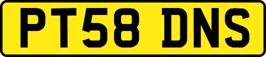 PT58DNS