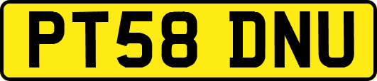 PT58DNU