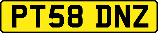 PT58DNZ
