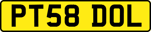 PT58DOL