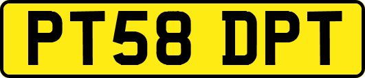 PT58DPT