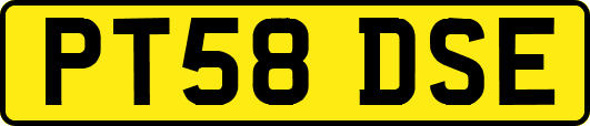 PT58DSE