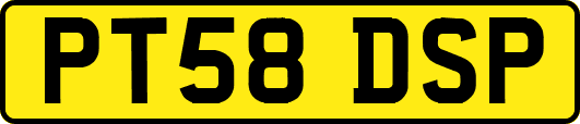PT58DSP