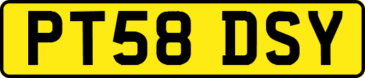 PT58DSY