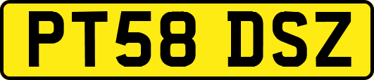 PT58DSZ