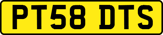 PT58DTS