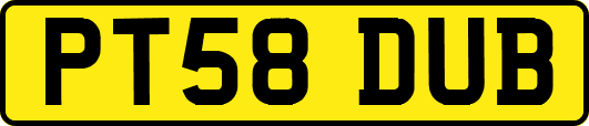 PT58DUB