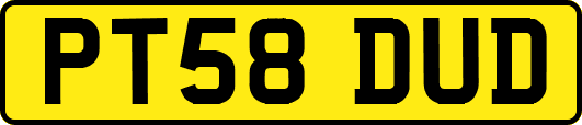 PT58DUD