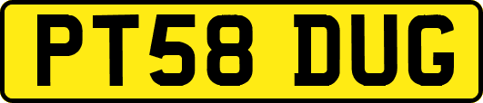 PT58DUG